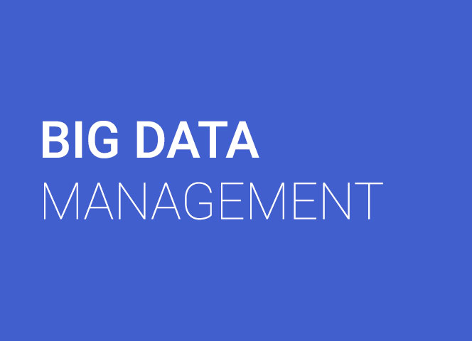 BIG DATA Management